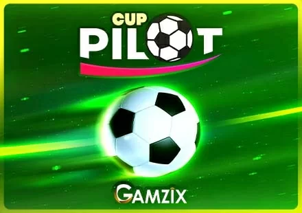 Pilot Cup